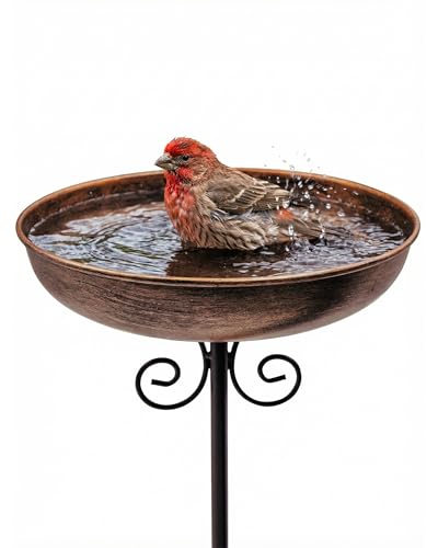 Ouisjyer Petit bain d'oiseaux en métal pour l'extérieur, 10