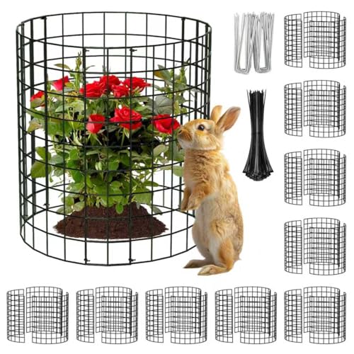 10 paquets de protection ronde pour plantes contre les animaux, cages pour plantes de jardin en treillis métallique pour fournitures de jardinage en plein air, protection de jardin lapins poulets canards pour légumes, fleurs, arbustes (12 # 039; # 039; X 12 # 039;)