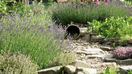 Cette belle fleur parfumée pourrait aider à éloigner les moustiques de votre jardin – et « c'est l'une des plantes les plus faciles à cultiver »