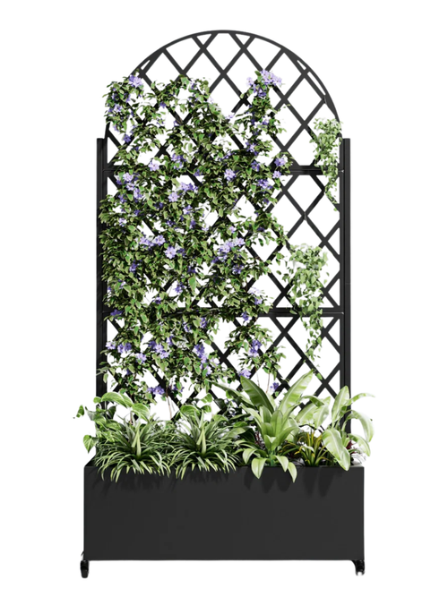 Jardinière en métal avec treillis arqué