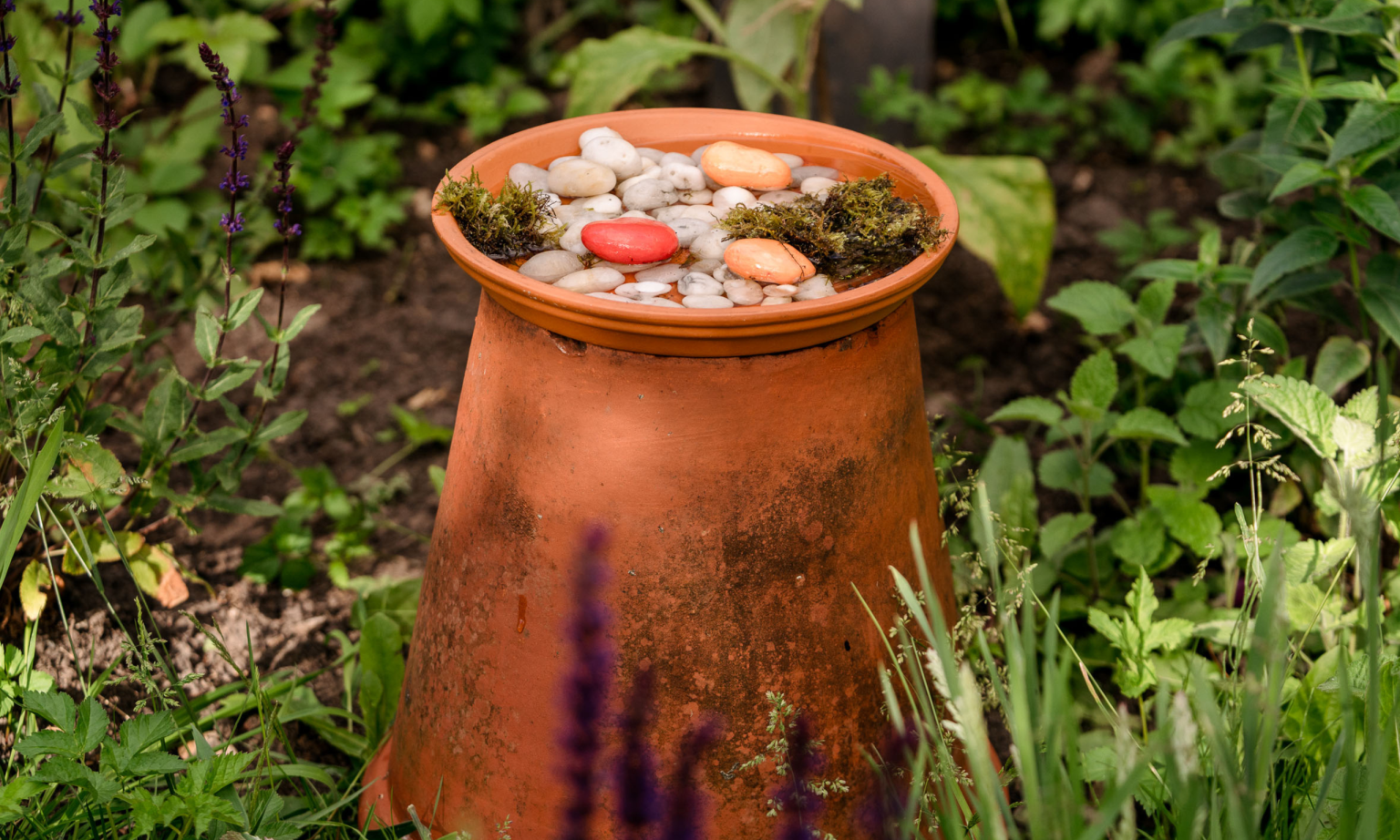 Pétales et racines : comment créer une belle station d’abreuvement pour abeilles pour votre jardin que la faune adorera Bee watering station in flower bed
