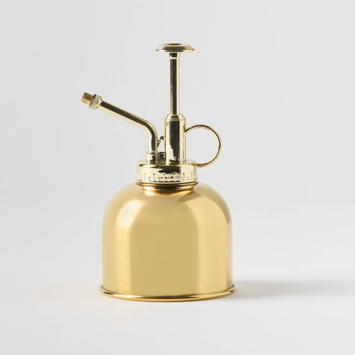 Cible monsieur plante ambre