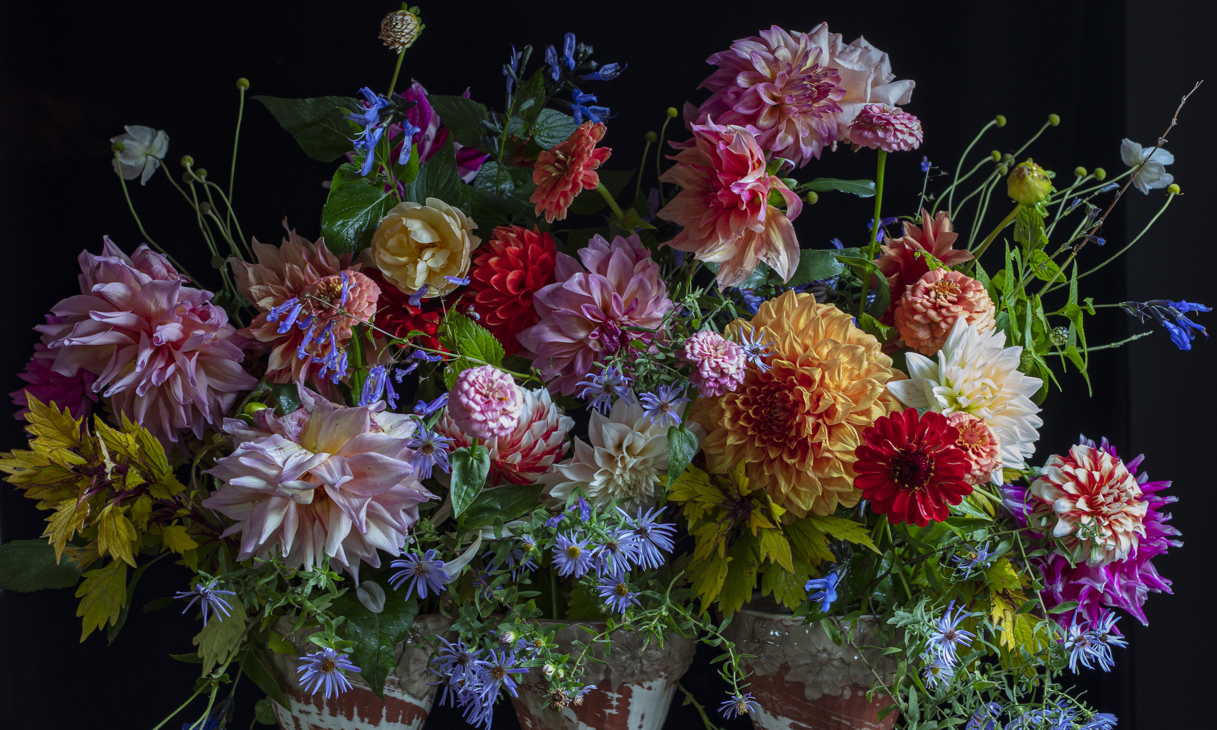 Arrangement floral de Frances Palmer