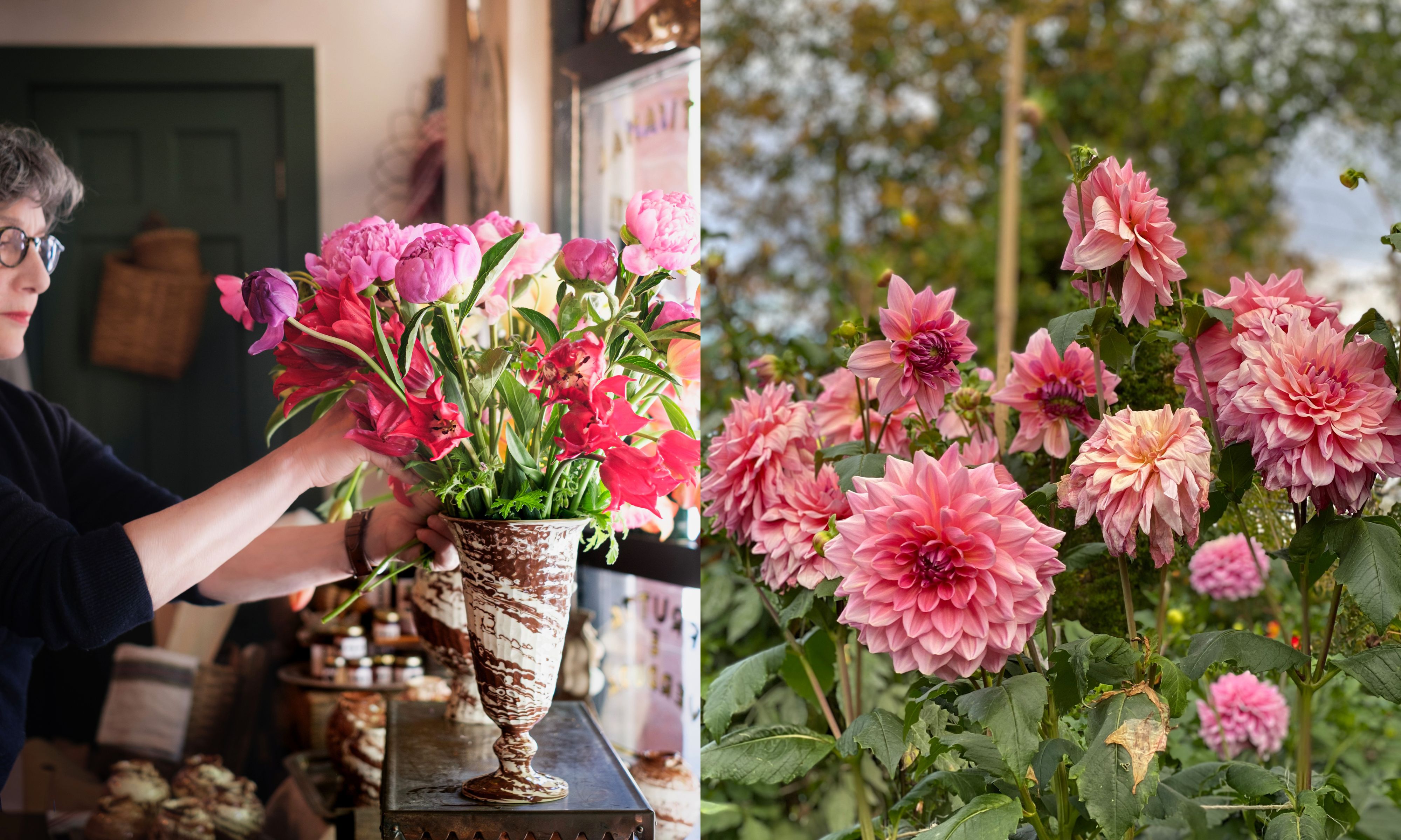 Composition florale de Frances Palmer