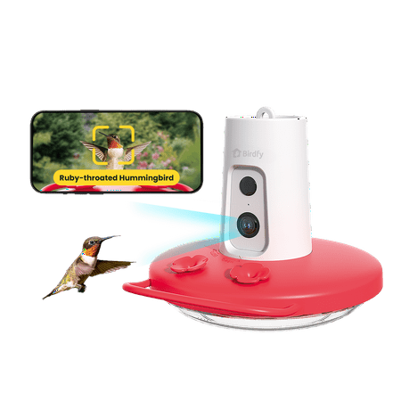 Birdfy Mangeoire à colibris avec caméra, caméra d'alimentation pour colibris Fhd 1080p avec fossé de fourmis, identification par IA des espèces d'oiseaux, cadeau idéal