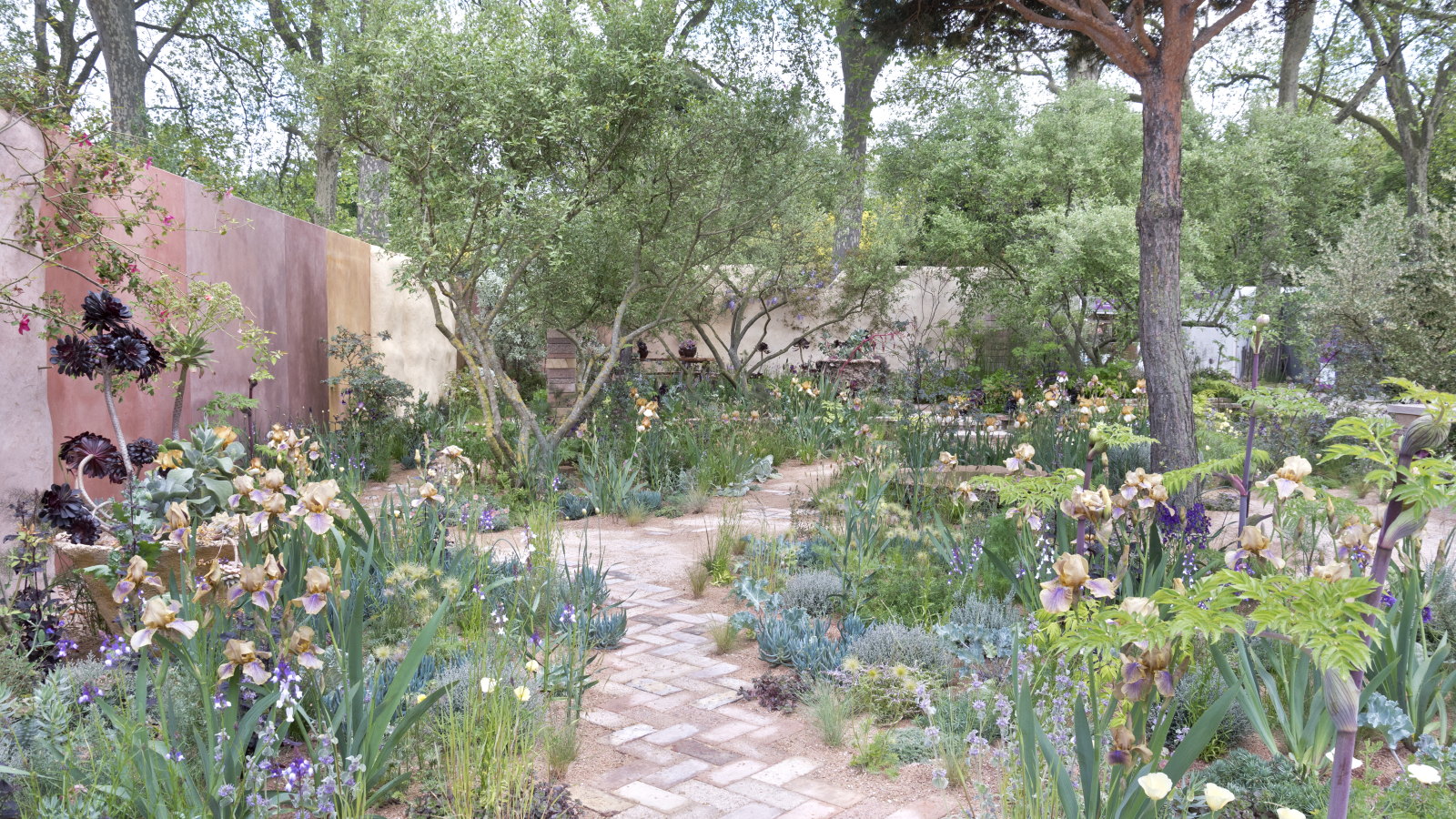 Un jardin méditerranéen avec des pavés en brique, des arbres, des arbustes et des plantes vivaces, dont des iris, au Chelsea Flower Show