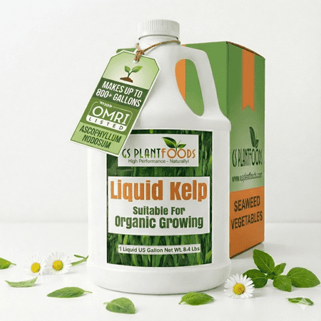 Gs Plant Foods Engrais de varech biologique concentré liquide 1 gallon