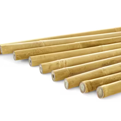 Piquets pour plantes de jardin en bambou naturel, 8 pi x 3/4 po, pour support d'escalade