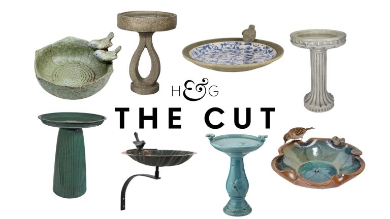 The Cut bird bath collage