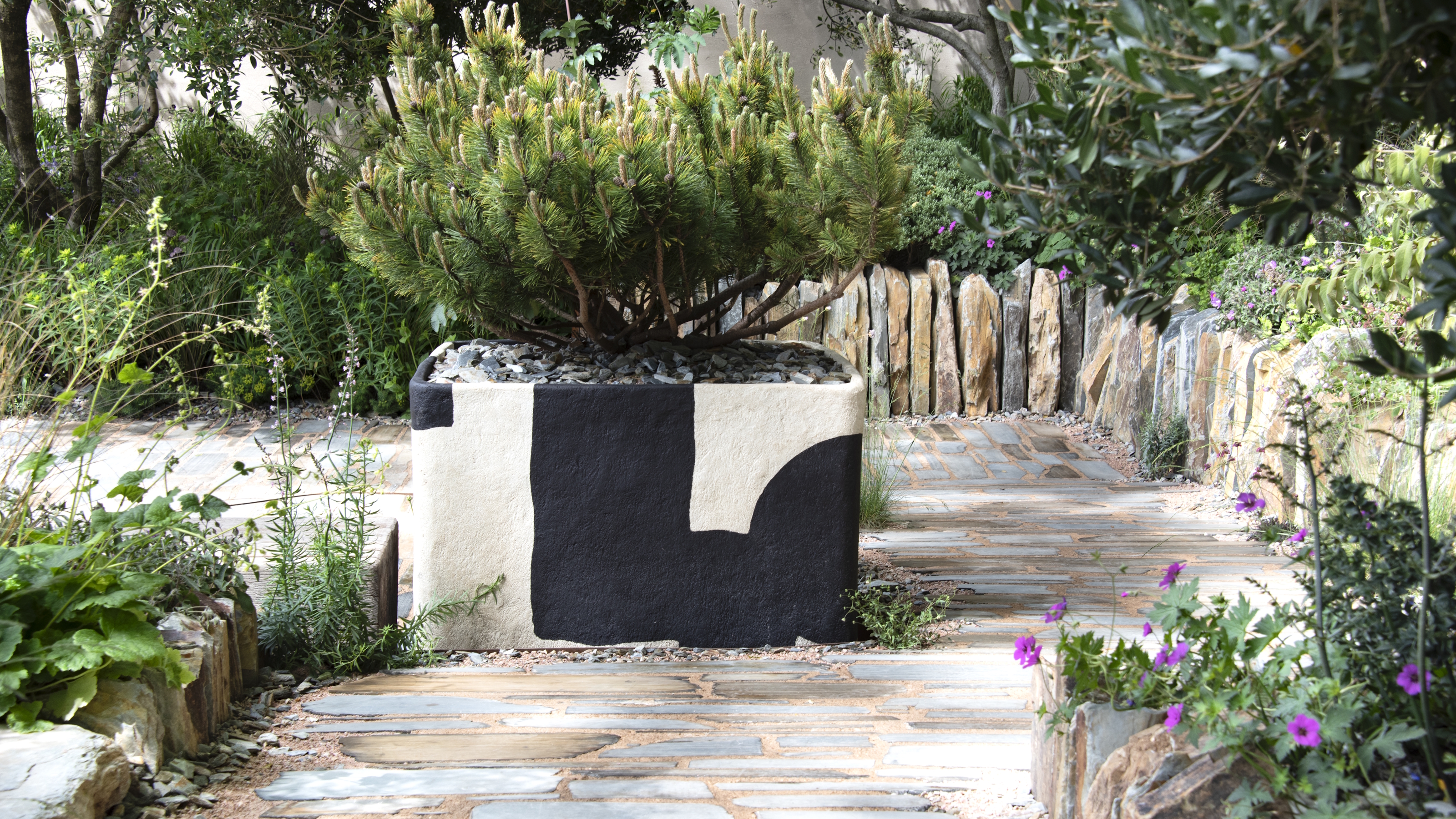 Un conifère dans un grand pot au milieu d'un jardin sec avec pavé en pierre au Chelsea Flower Show 2026