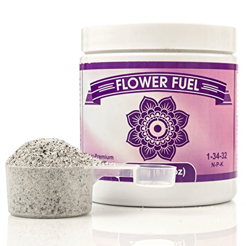 Booster de floraison et optimiseur de rendement pour plantes – Récoltes grandes, lourdes et saines, pour utilisation dans le sol et la culture hydroponique – Phosphore et potassium concentrés – Combustible floral 1-34-32, 250 g