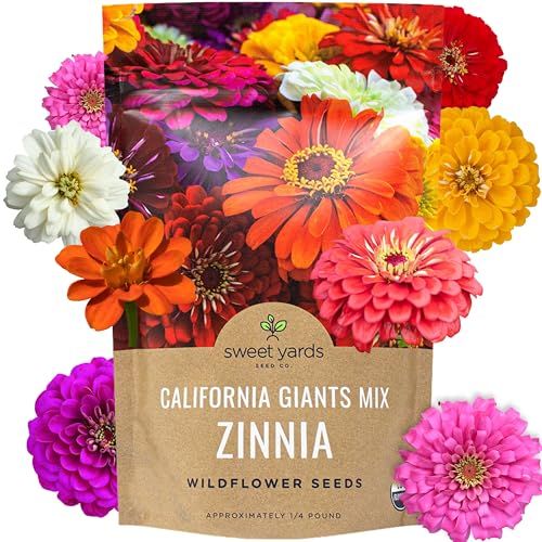 Graines de Zinnia en vrac - California Giants Mix - Sac en vrac de 1/4 livre de plus de 12 000 graines de fleurs - Couleurs mélangées et grandes fleurs